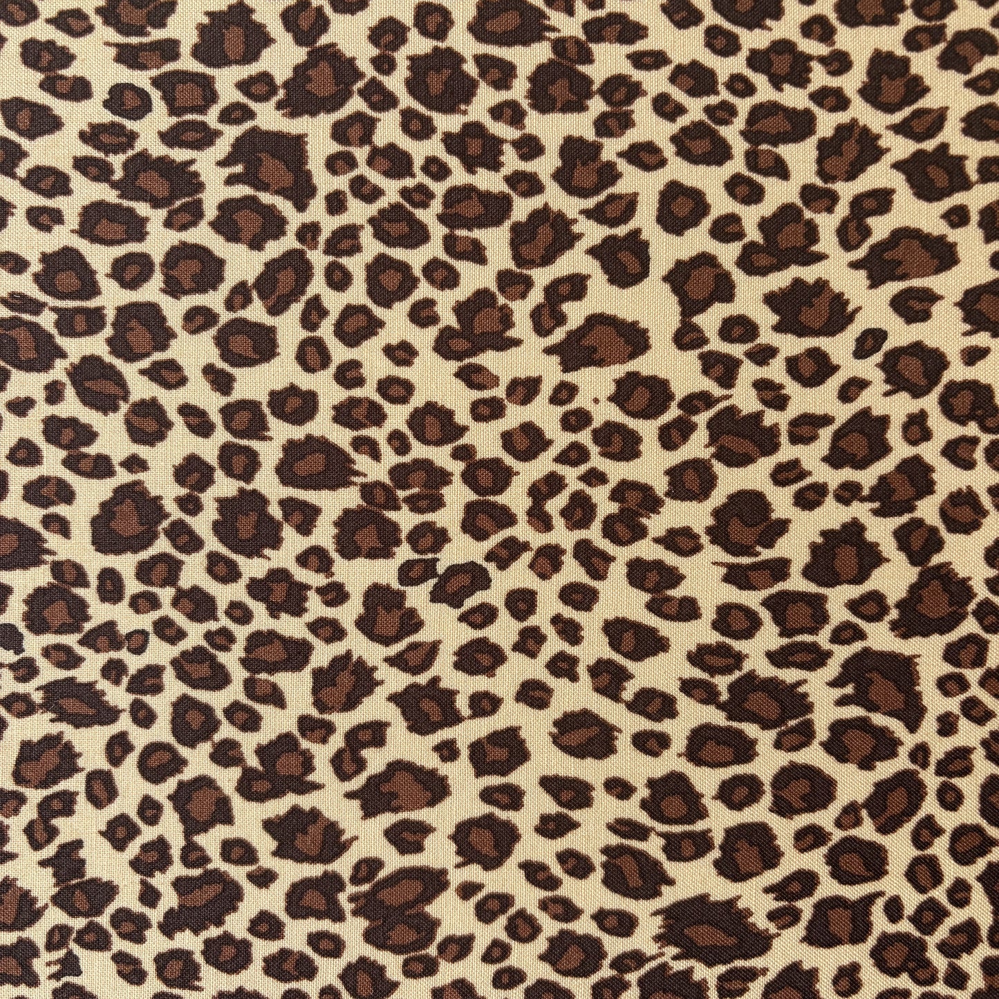 The Baywood Beach Chair - Meryl Leopard